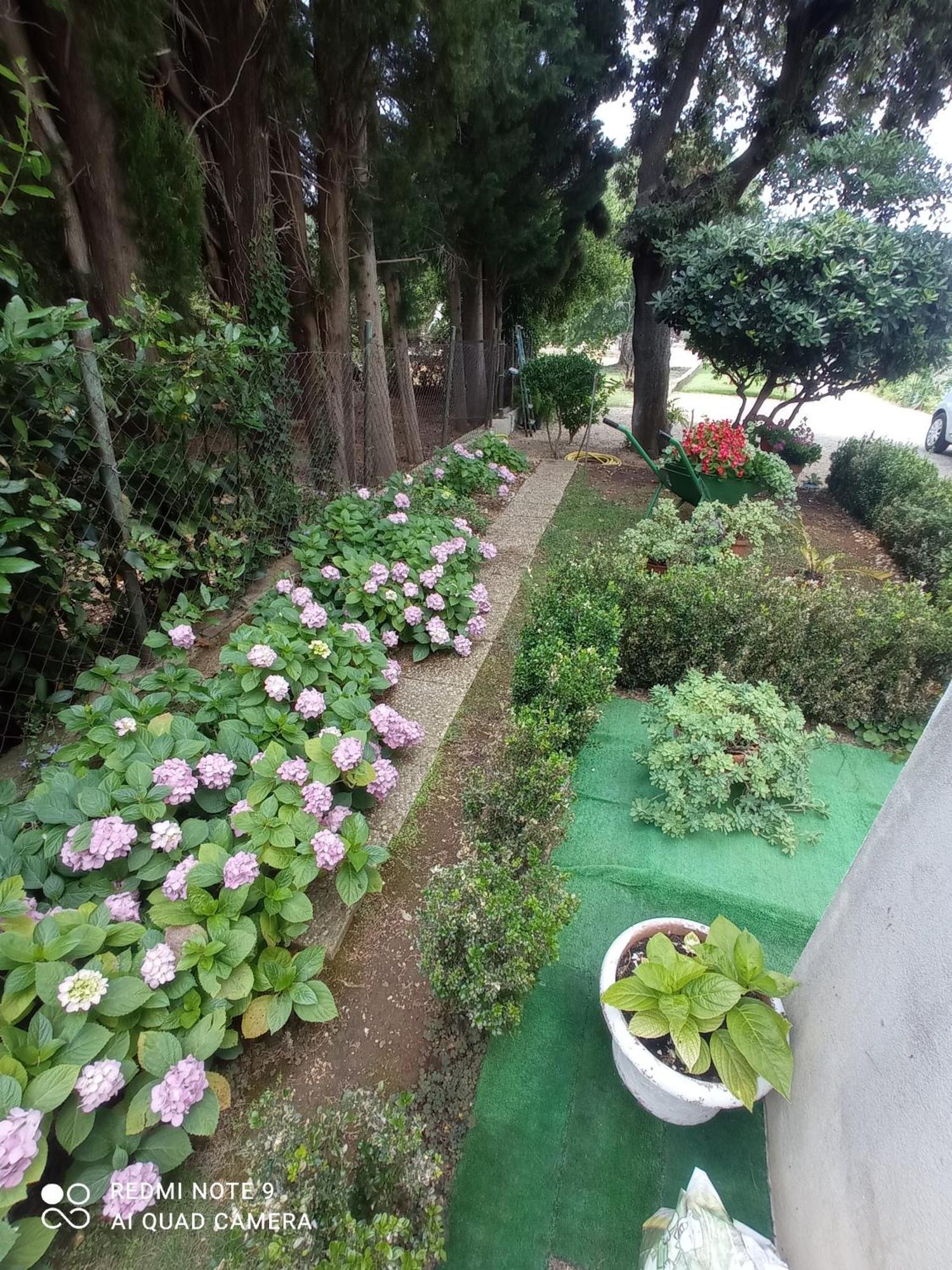 Apartmani Gaga Bibinje Bagian luar foto