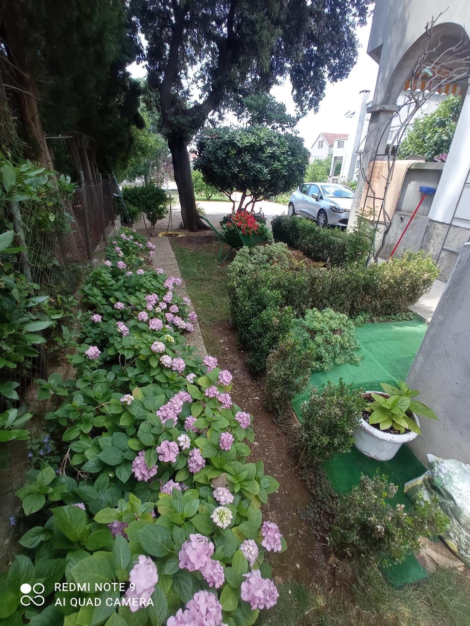 Apartmani Gaga Bibinje Bagian luar foto